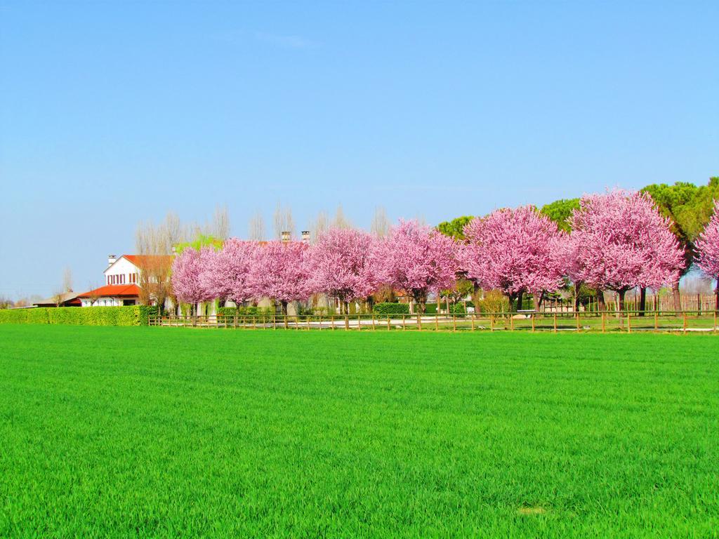 Agriturismo Le Cipressine Meolo Exteriör bild