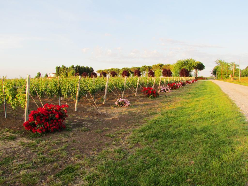 Agriturismo Le Cipressine Meolo Exteriör bild