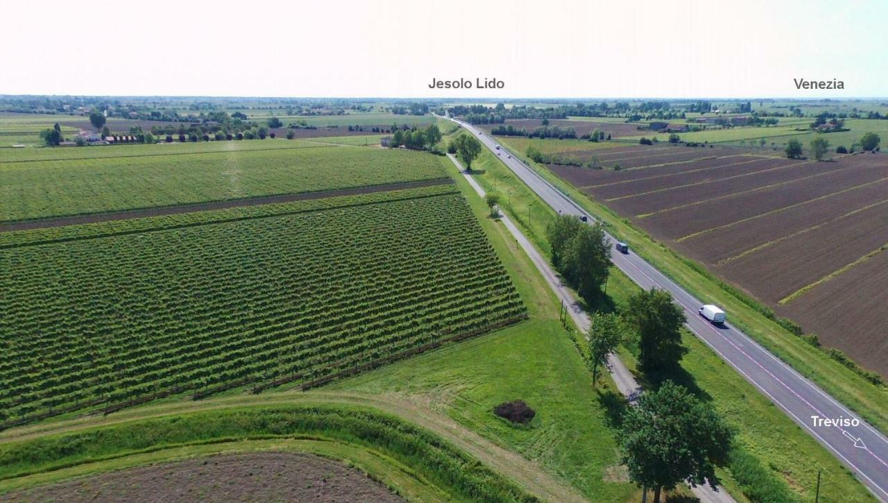 Agriturismo Le Cipressine Meolo Exteriör bild